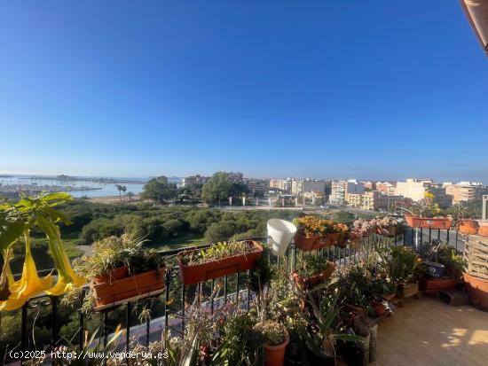 Ático en el centro de Torrevieja con vistas al mar y solárium privado - ALICANTE