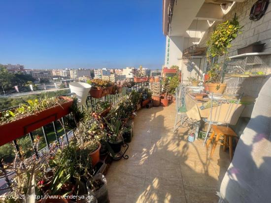 Ático en el centro de Torrevieja con vistas al mar y solárium privado - ALICANTE