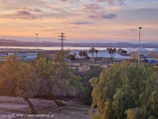 Apartamento 3 dormitorios vistas despejadas a laguna rosa - ALICANTE