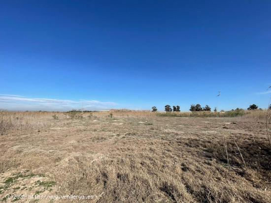  SE VENDE TERRENO AGRARIO EN PARTIDA DERRAMADOR, ELCHE – 8.700 m² - ALICANTE 