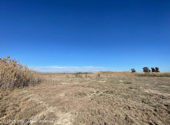 SE VENDE TERRENO AGRARIO EN PARTIDA DERRAMADOR, ELCHE – 8.700 m² - ALICANTE