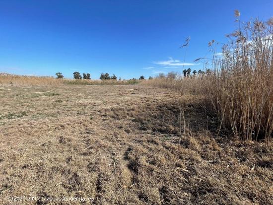 SE VENDE TERRENO AGRARIO EN PARTIDA DERRAMADOR, ELCHE – 8.700 m² - ALICANTE