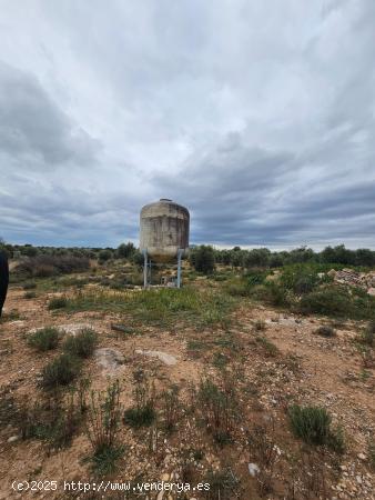 FINCA RÚSTICA CON CASA DE PIEDRA - TARRAGONA