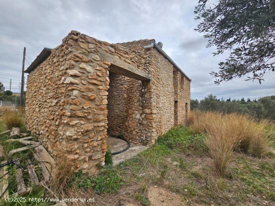 FINCA RÚSTICA CON CASA DE PIEDRA - TARRAGONA