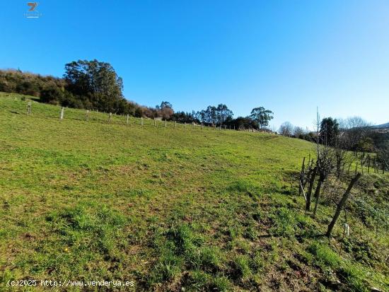 FINCA RUSTICA-AGRARIA EN FRESNEDO - CANTABRIA