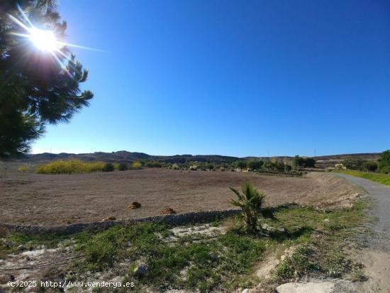  Finca en Venta en Polígonos, Elche/Elx, Alicante - ALICANTE 