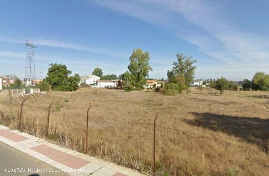 TERRENO EN SAN ANDRES DEL RABANEDO - LEON