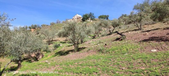  Finca en venta en Casabermeja (Málaga) 