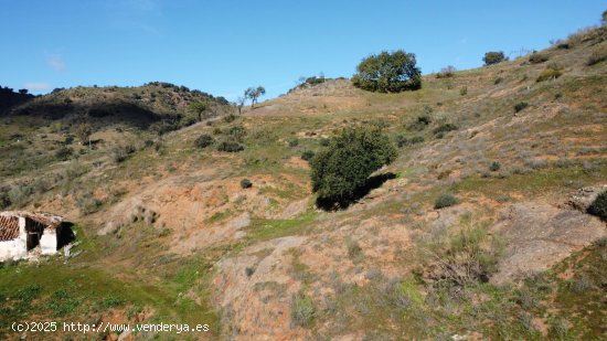 Finca en venta en Casabermeja (Málaga)