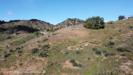 Finca en venta en Casabermeja (Málaga)