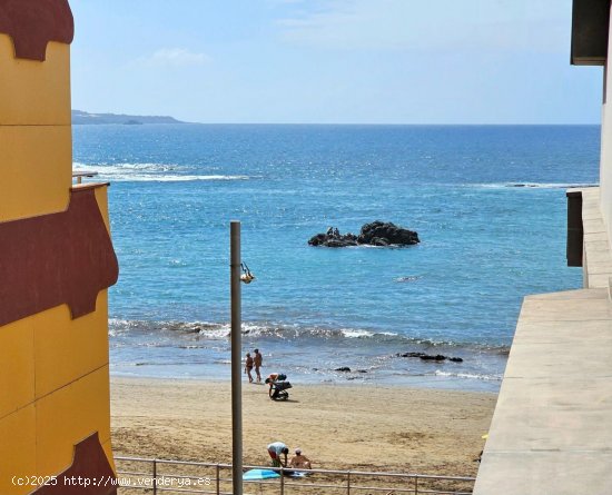 Estudio en alquiler en Las Palmas de Gran Canaria (Las Palmas)