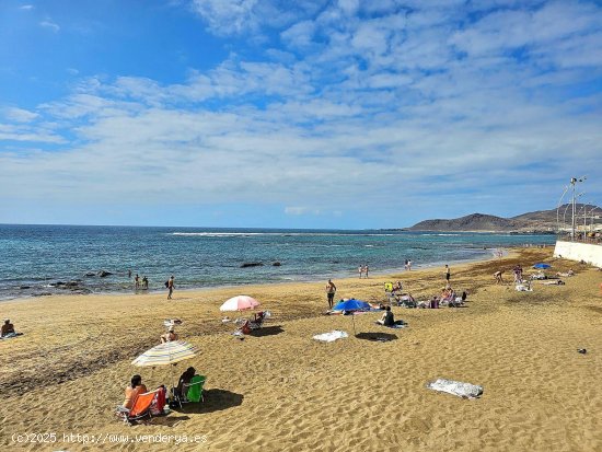 Estudio en alquiler en Las Palmas de Gran Canaria (Las Palmas)