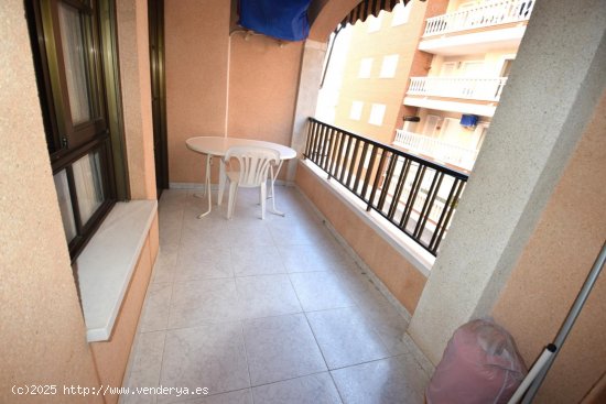 Apartamento en alquiler en Guardamar del Segura (Alicante)