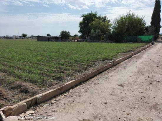 TIERRA DE CULTIVO EN  EL SALAR COX - ALICANTE