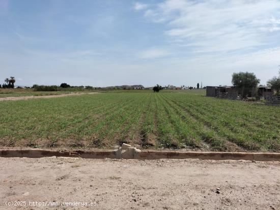 TIERRA DE CULTIVO EN  EL SALAR COX - ALICANTE