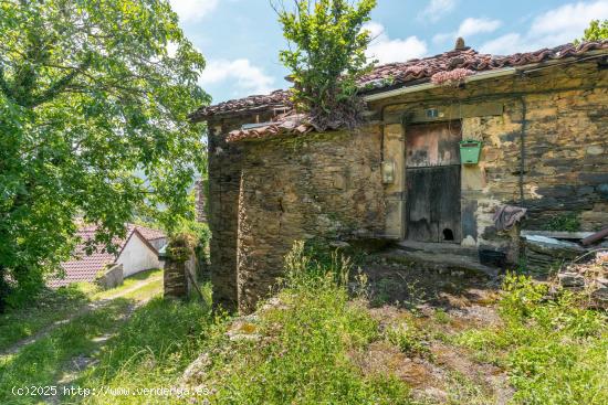 Casa en Troncedo 7,Tineo - ASTURIAS