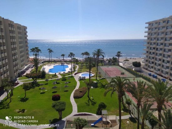  Apartamento en alquiler en Torremolinos (Málaga) 