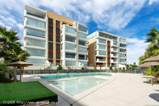 Apartamento en venta en Pilar de la Horadada (Alicante)