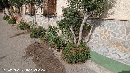 Casa con terreno en la huerta del Raal - MURCIA