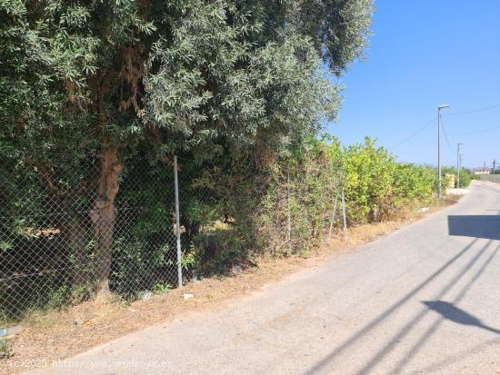 Casa con terreno en la huerta del Raal - MURCIA