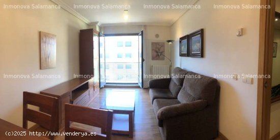 Salamanca ( Campus Huerta ); 2d, 1wc, garaje  750€ - Salamanca