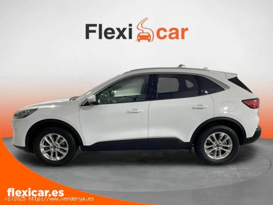 Ford Kuga ST-Line 1.5 EcoBlue 88kW (120CV) Auto - Alicante