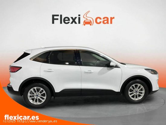 Ford Kuga ST-Line 1.5 EcoBlue 88kW (120CV) Auto - Alicante