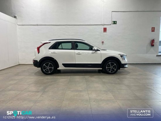 Kia Niro  1.6 GDi HEV 104kW (141CV) Drive - Granada