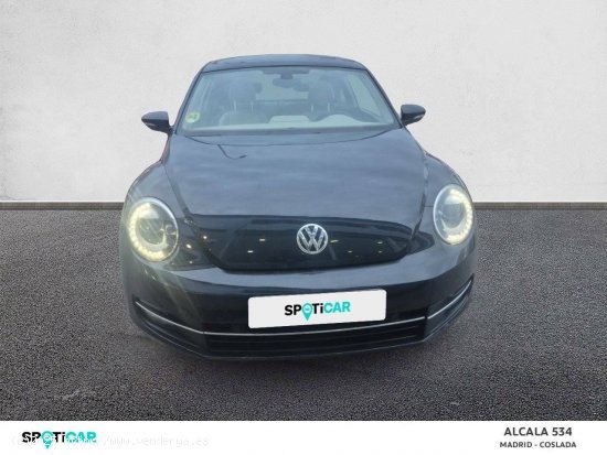 Volkswagen Beetle  1.6 TDI 105cv Design - Coslada