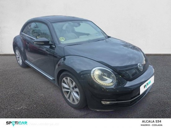 Volkswagen Beetle  1.6 TDI 105cv Design - Coslada