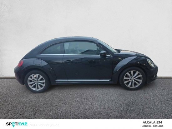 Volkswagen Beetle  1.6 TDI 105cv Design - Coslada