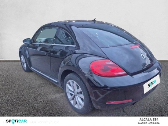 Volkswagen Beetle  1.6 TDI 105cv Design - Coslada