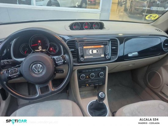 Volkswagen Beetle  1.6 TDI 105cv Design - Coslada