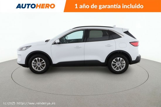 Ford Kuga 1.5 EcoBoost Titanium - 