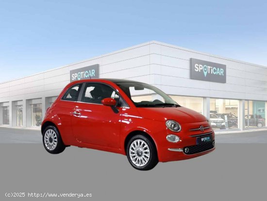 Fiat 500 Dolcevita 1.0 Hybrid 51KW (70 CV) - Jaén