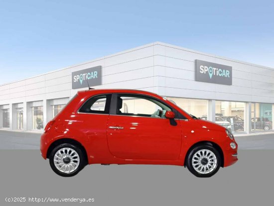 Fiat 500 Dolcevita 1.0 Hybrid 51KW (70 CV) - Jaén