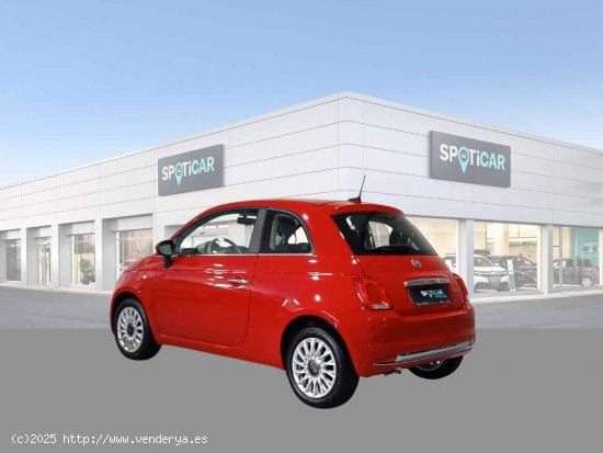 Fiat 500 Dolcevita 1.0 Hybrid 51KW (70 CV) - Jaén