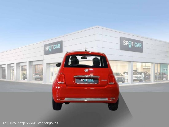 Fiat 500 Dolcevita 1.0 Hybrid 51KW (70 CV) - Jaén