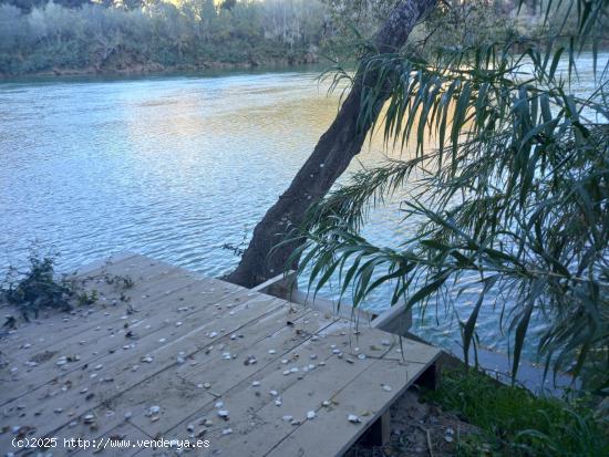  OPORTUNIDAD FINCA RUSTICA DE REGADIO LINDANDO CON EL RIO EBRO EN GARCIA - TARRAGONA 