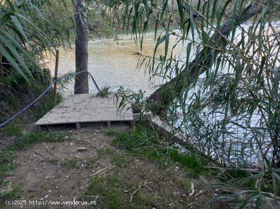 OPORTUNIDAD FINCA RUSTICA DE REGADIO LINDANDO CON EL RIO EBRO EN GARCIA - TARRAGONA