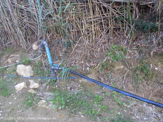 OPORTUNIDAD FINCA RUSTICA DE REGADIO LINDANDO CON EL RIO EBRO EN GARCIA - TARRAGONA