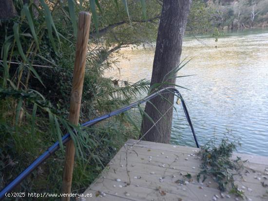 OPORTUNIDAD FINCA RUSTICA DE REGADIO LINDANDO CON EL RIO EBRO EN GARCIA - TARRAGONA