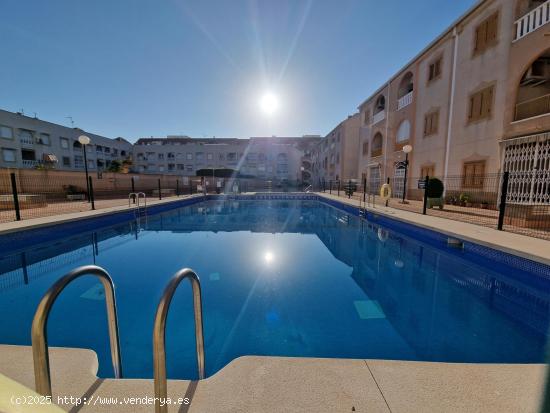  Apartamento 3 dormitorios vistas despejadas a laguna rosa - ALICANTE 