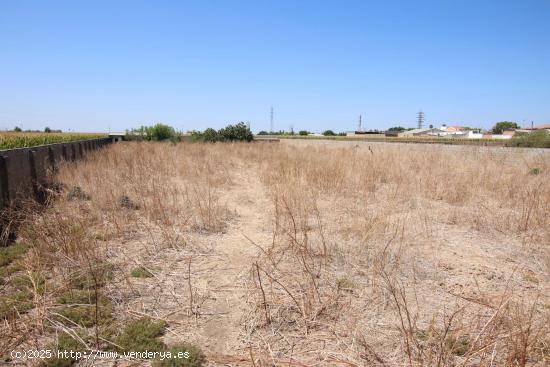 SOLAR CERCADO DE MAS DE 3000 M.CUADRADOS  EN MONTIJO - BADAJOZ