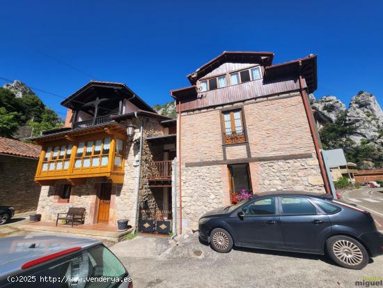 Se vende gran propiedad con terreno en La Hermida, Peñarrubia, Cantabria - CANTABRIA