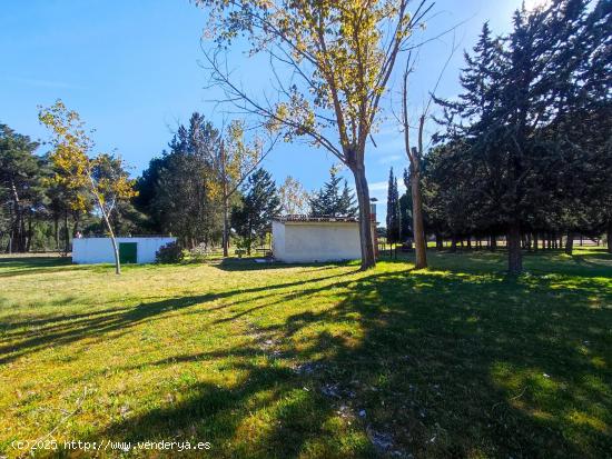 FINCA RUSTICA JUNTO CARRETERA MADRID EN LA PEDRAJA DE PORTILLO - VALLADOLID