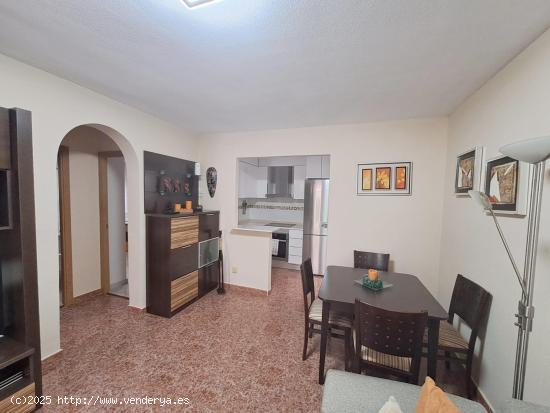 Bungalow with two bedrooms in Torrevieja - ALICANTE