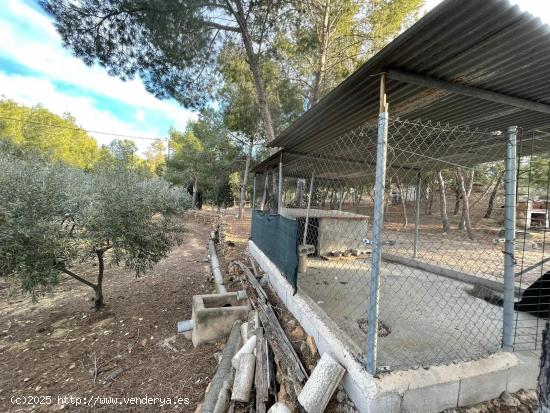 Se Vende en El Esparragal - MURCIA