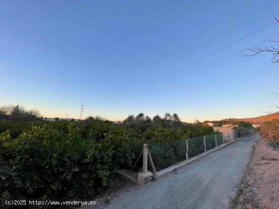 SE VENDE TERRENO RUSTICO EN MONTEAGUDO - MURCIA