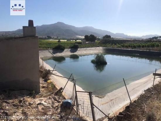 Venta Finca 17.500 mts con Casa Aperos y Balsa Riego - MURCIA